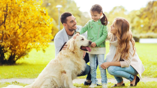 What’s Your Dog’s Personality? Take the Quiz Now